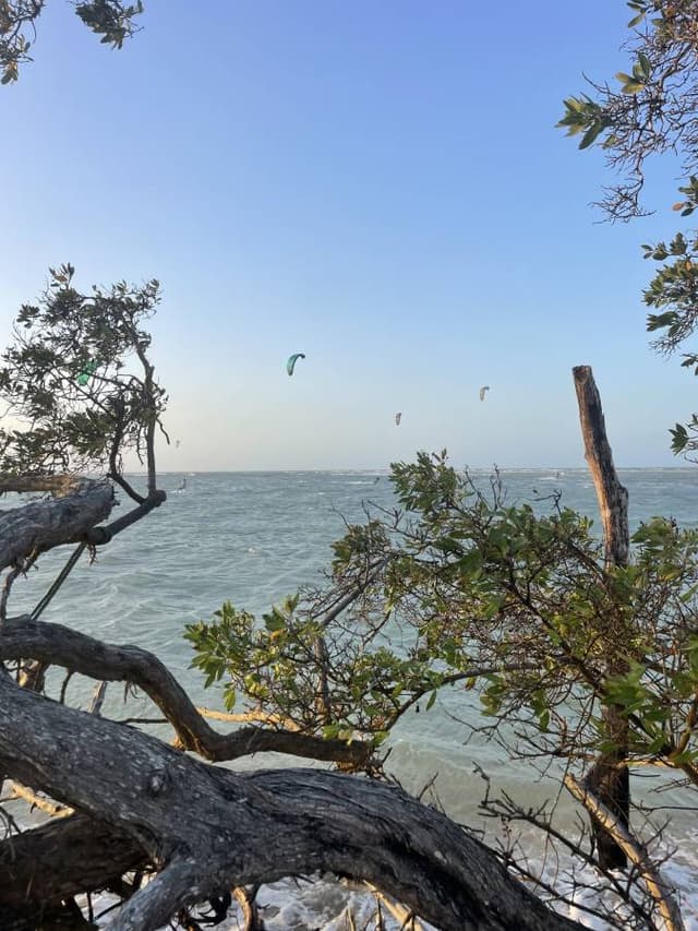 Photo 4 by Amber V. (10/16/24)