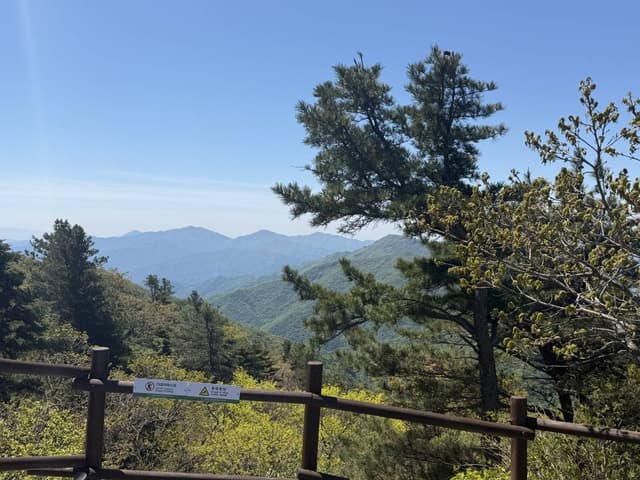Photo 6 by Janine W. (5/11/26)