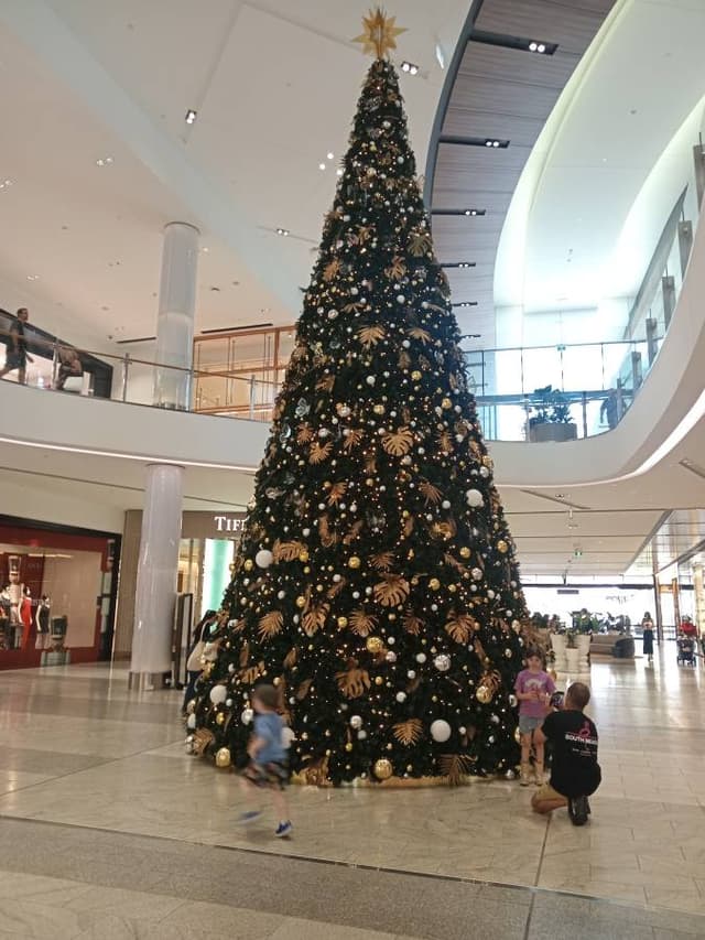 Photo 3 by David M. about renting a LDV D90 in Brisbane (11/3/24)