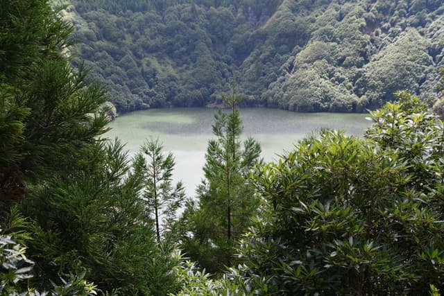 Photo 7 by Roman M. about renting a Fiat Panda in Ponta Delgada (8/21/24)