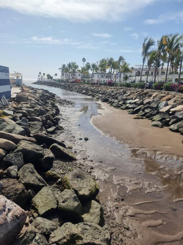 Photo 5 by Boyko K. (2/28/26)