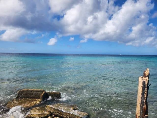 Photo 3 by Stephanie D. about renting a Kia Picanto in Oranjestad (1/30/24)