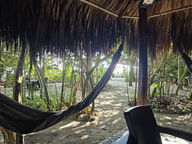 Photo 4 by Carlos R. (10/25/23)