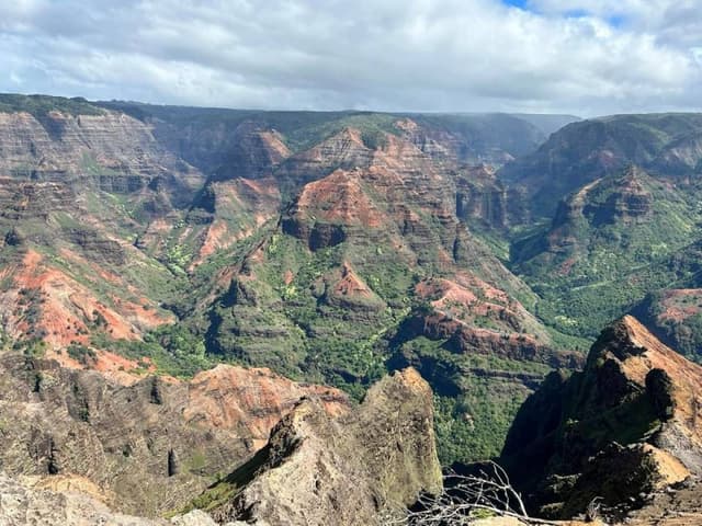 Photo 4 by Melanie F. (11/18/23)