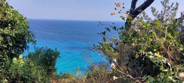 Photo 5 by Edith P. (9/2/23)