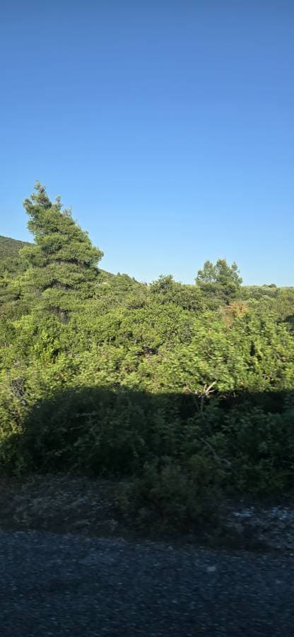 Φωτογραφία 12 από Georgios P. (5/7/26)