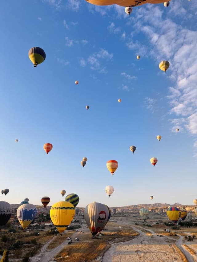 Foto di ANDREA P. (08/09/24)