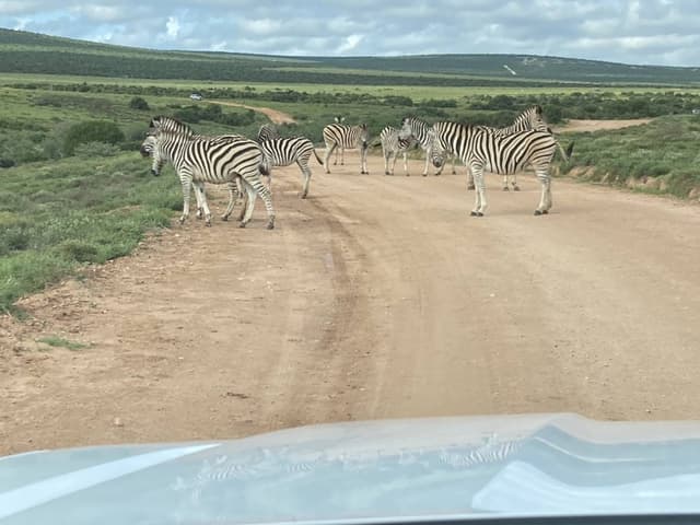 Photo 4 by Janette E. about hiring a Toyota Hilux in South Africa (28.05.24)