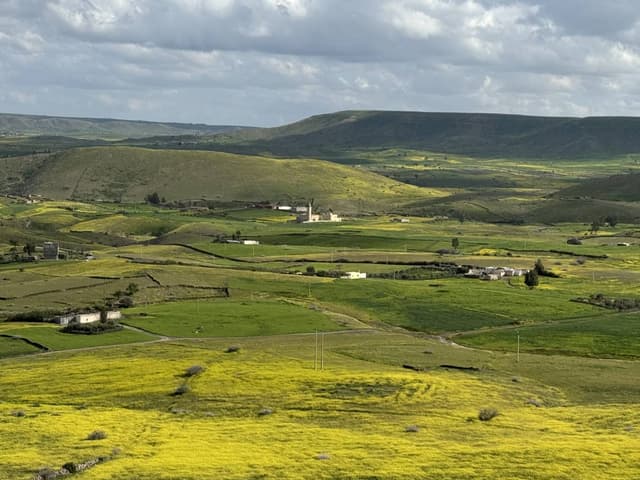 Photo 5 par Abdeljalel E. (14/03/26)