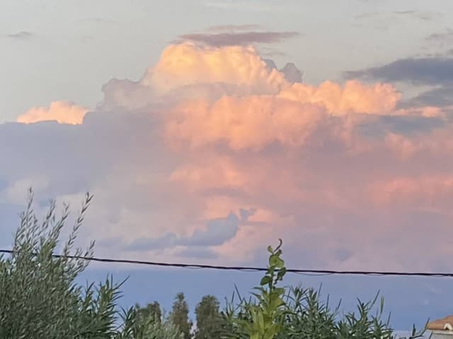 Foto 8 von Christine H. (24.10.25)