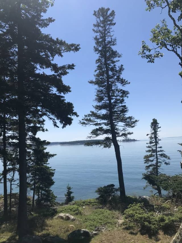 Photo 3 by Susan H. about renting a Chevrolet Malibu in Maine (8/25/24)
