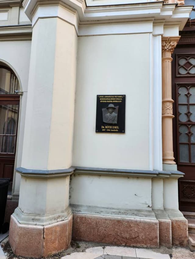 Photo 3 by shlomo T. (8/27/23)