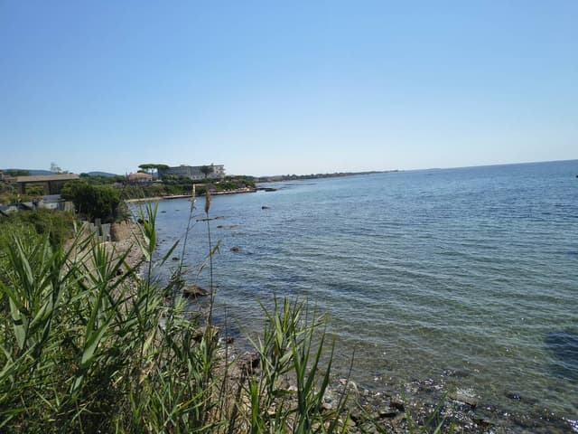 Photo 6 by David S. (7/19/26)