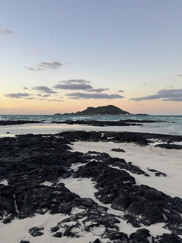 Photo 9 by Katarina L. (11/13/25)