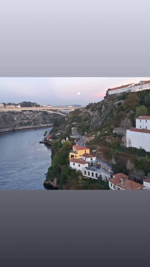 Foto 2 de Paula D M. (23/10/25)