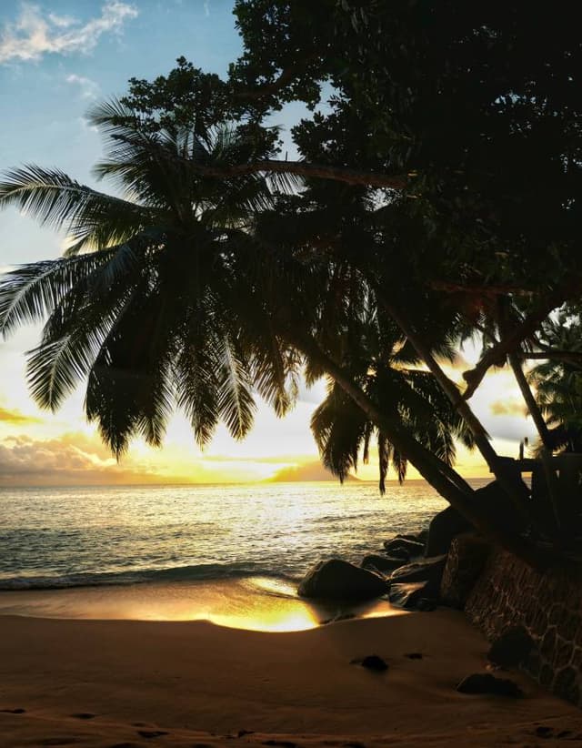 Photo by Kenneth B. about renting a Kia Picanto at Seychelles International Airport (7/31/23)