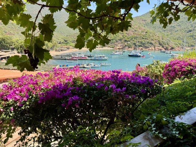 Photo 6 par Claude B. (10/08/24)