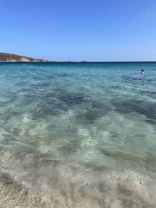 Foto 7 di Francesca F. sul noleggio di una Volkswagen Up a Olbia (12/09/24)