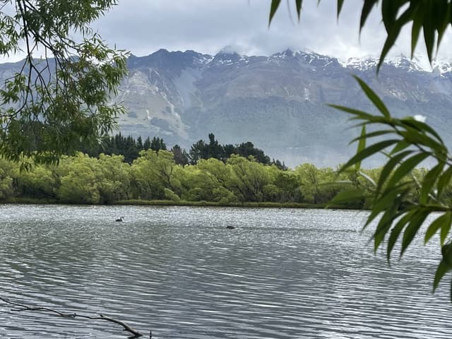 Photo 4 by Jacqueline C. about hiring a Toyota Corolla at Queenstown Airport (12/01/26)