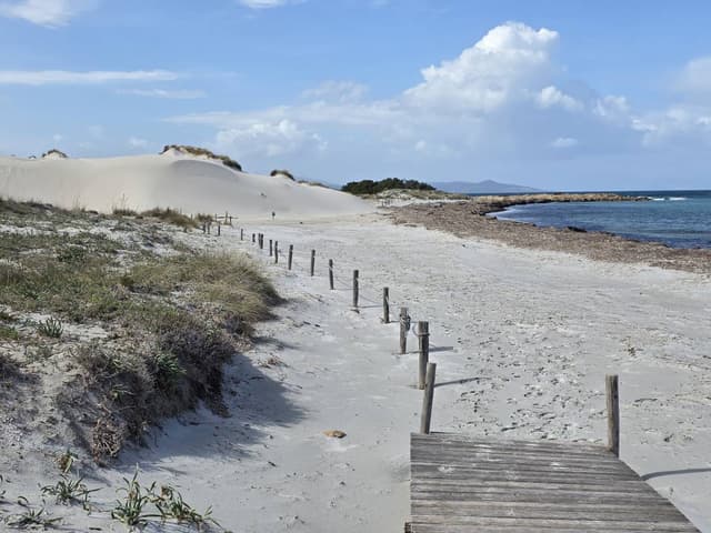 Foto 2 di Eugenio T. (30/03/26)