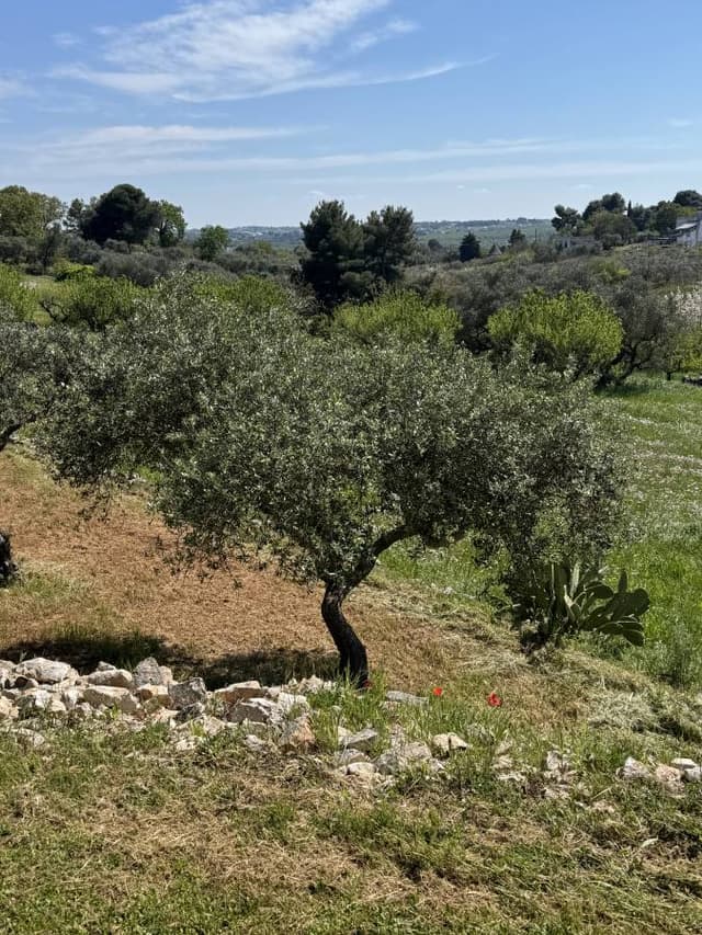 Photo 4 by Maria J. (4/22/26)