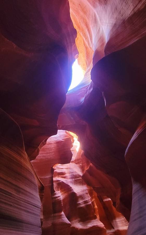 Photo 4 by Jennifer L. (4/22/25)