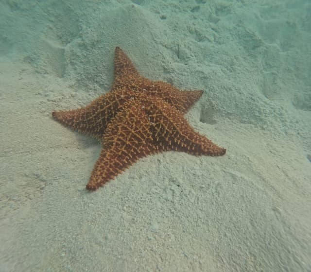 Photo 3 by Margit V. (3/8/26)