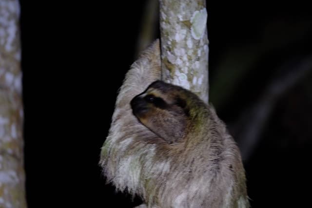 Foto 4 di Massimiliano C. (07/01/26)