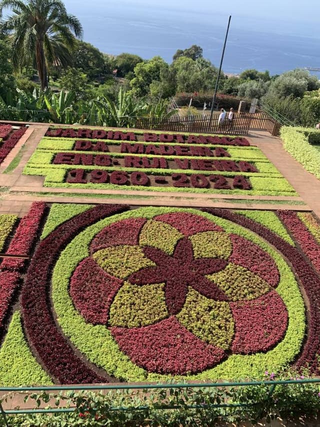 Foto 4 van Pieternella B. (17-10-24)