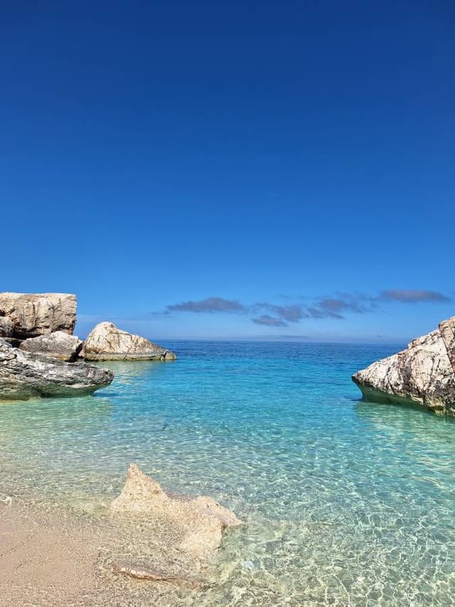 Photo 8 by Edit U. (4/13/26)