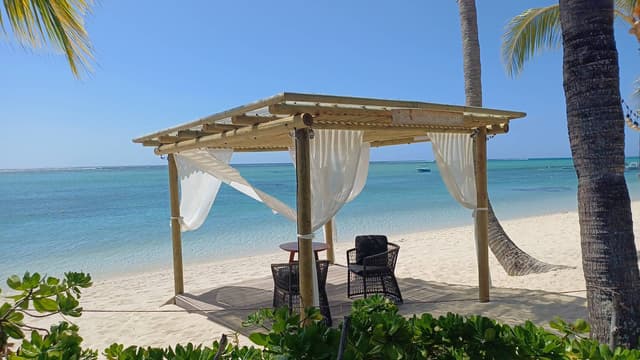 Photo by Ranaul I. (10/30/25)