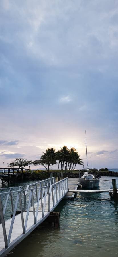 Photo 8 by Vaughan F. about renting a Toyota Vitz in Fiji (10/29/23)