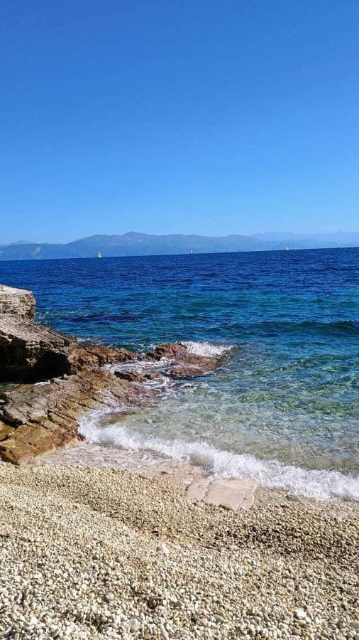 Zdjęcie 2 wykonane przez LESZEK Z. (5.10.24)