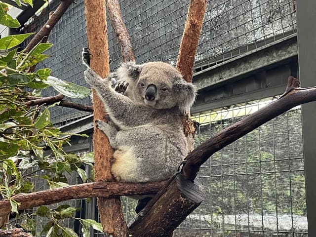 Photo 5 par Cyrille B. (18/03/23)