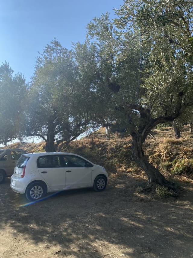 Billede af Natalie A. om at leje en Peugeot 108 i Zakynthos (8/1/24)