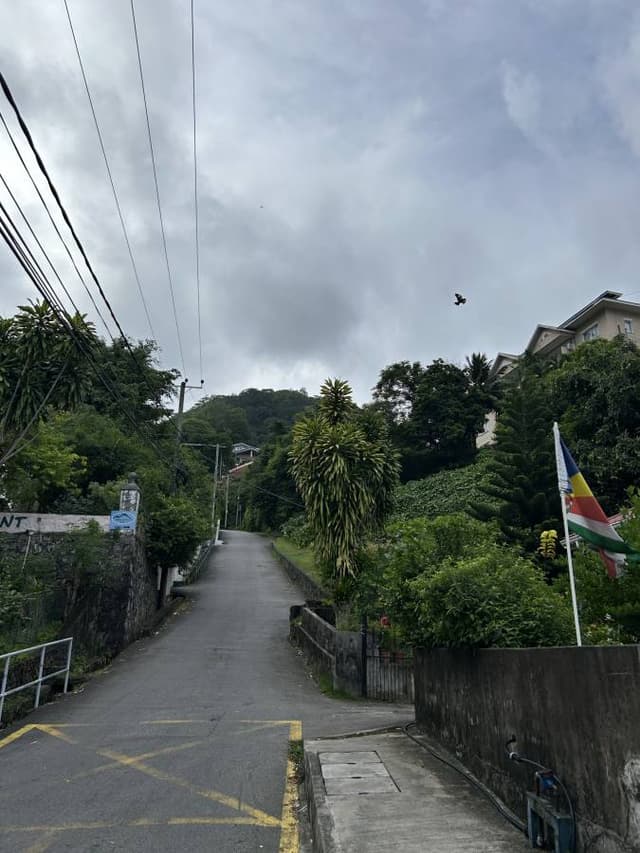 Henkilön Sirpa T. kuva 4 (28.12.25)