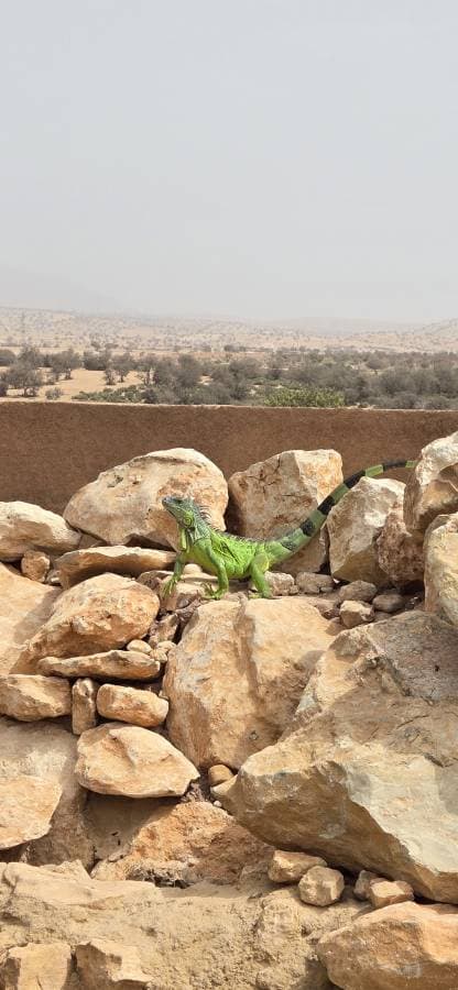 Photo 7 par Abderrahman M. (10/09/26)