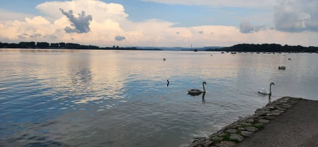 Photo 3 by Vesna O. (6/27/23)