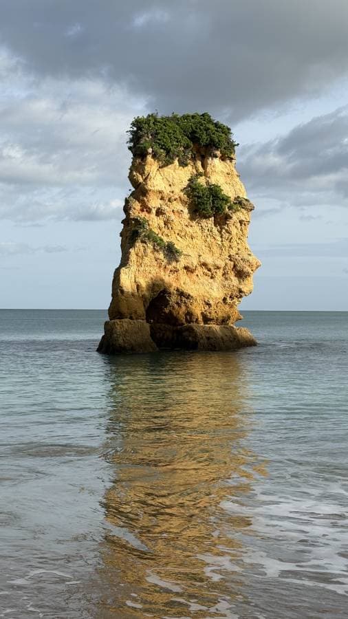 Photo by ALAN T. (2/17/26)