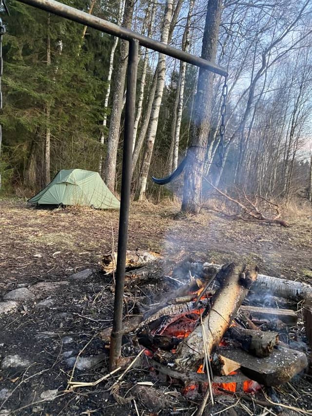 Photo 3 by Ylenia C. (3/26/26)