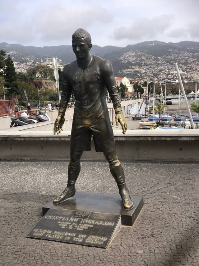 Sandor S. 3. számú fényképe (23. 03. 19.)