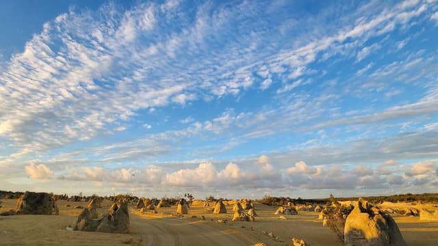 Younghwa P.의 사진 4 (25. 4. 13.)