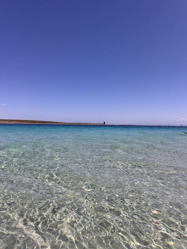 Photo 6 by Ales Z. about renting a Fiat Panda in Alghero (9/16/24)