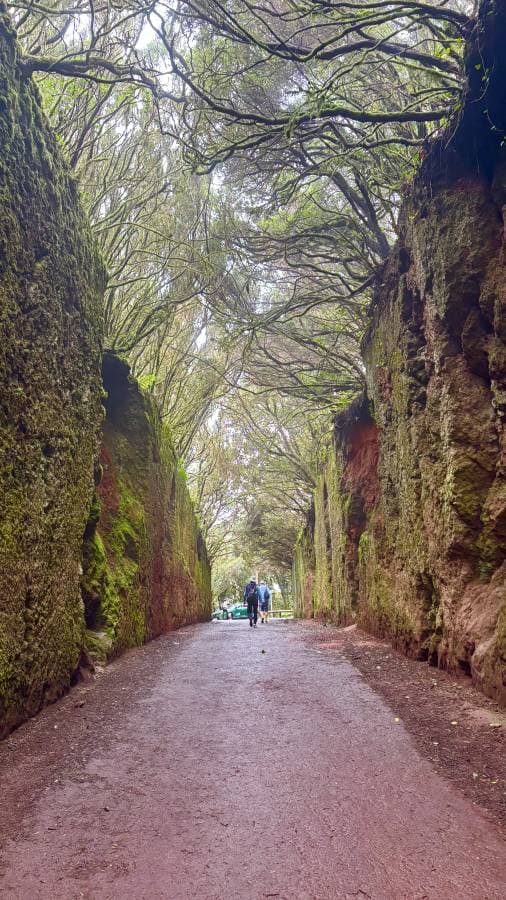 Photo 3 par Michel M. (01/12/25)