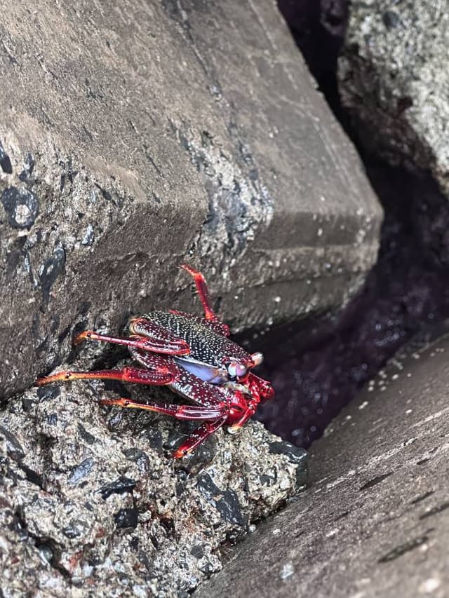 Zdjęcie 11 wykonane przez Michal G. (6.12.25)