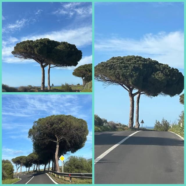 Photo 4 by Herman V. about renting a Opel Astra in Olbia (4/15/24)