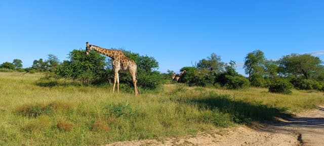 Billede 4 af Niels Birk Amdi I. (21.2.26)