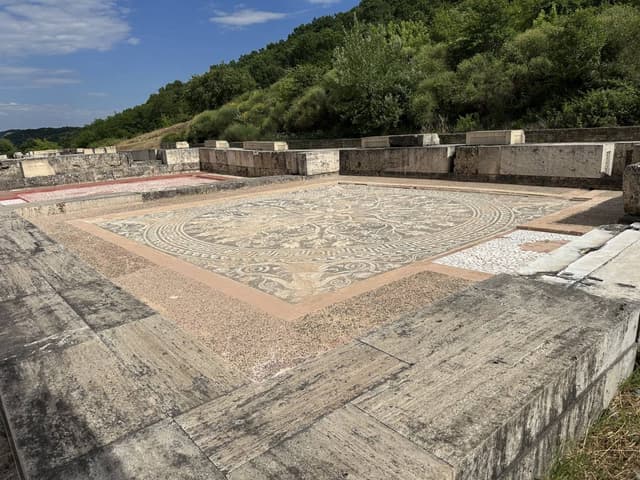 תמונה 5 מאת Lior S. (20.6.26)