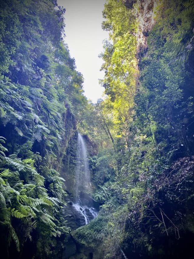 Foto 6 van Mark B. (11-10-23)