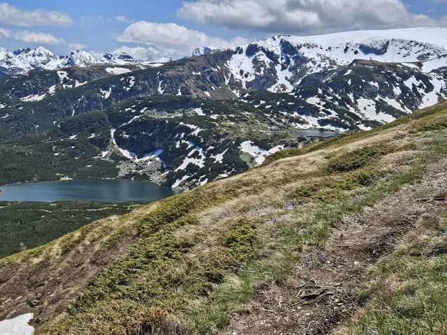 תמונה 7 מאת tzipora M. (22.5.25)